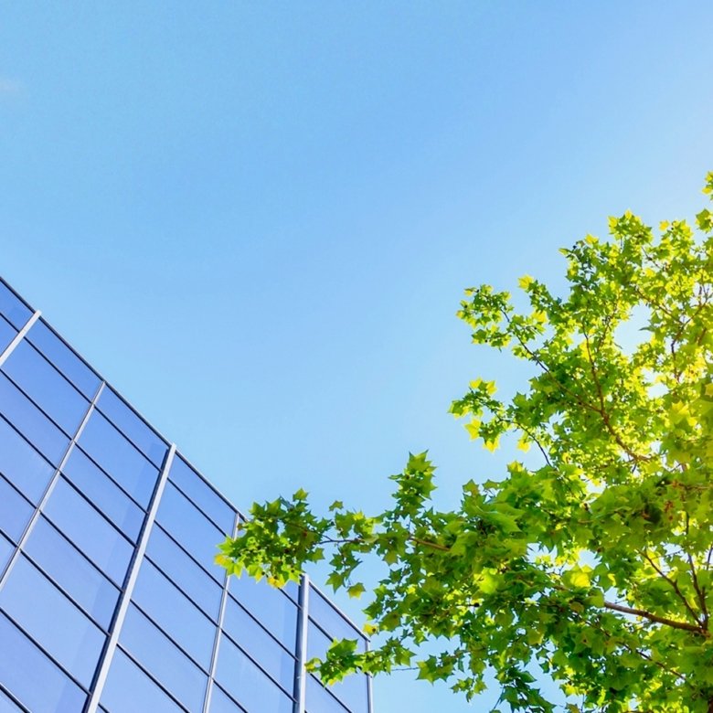 Il 64% delle aziende ha investito in efficienza energetica.