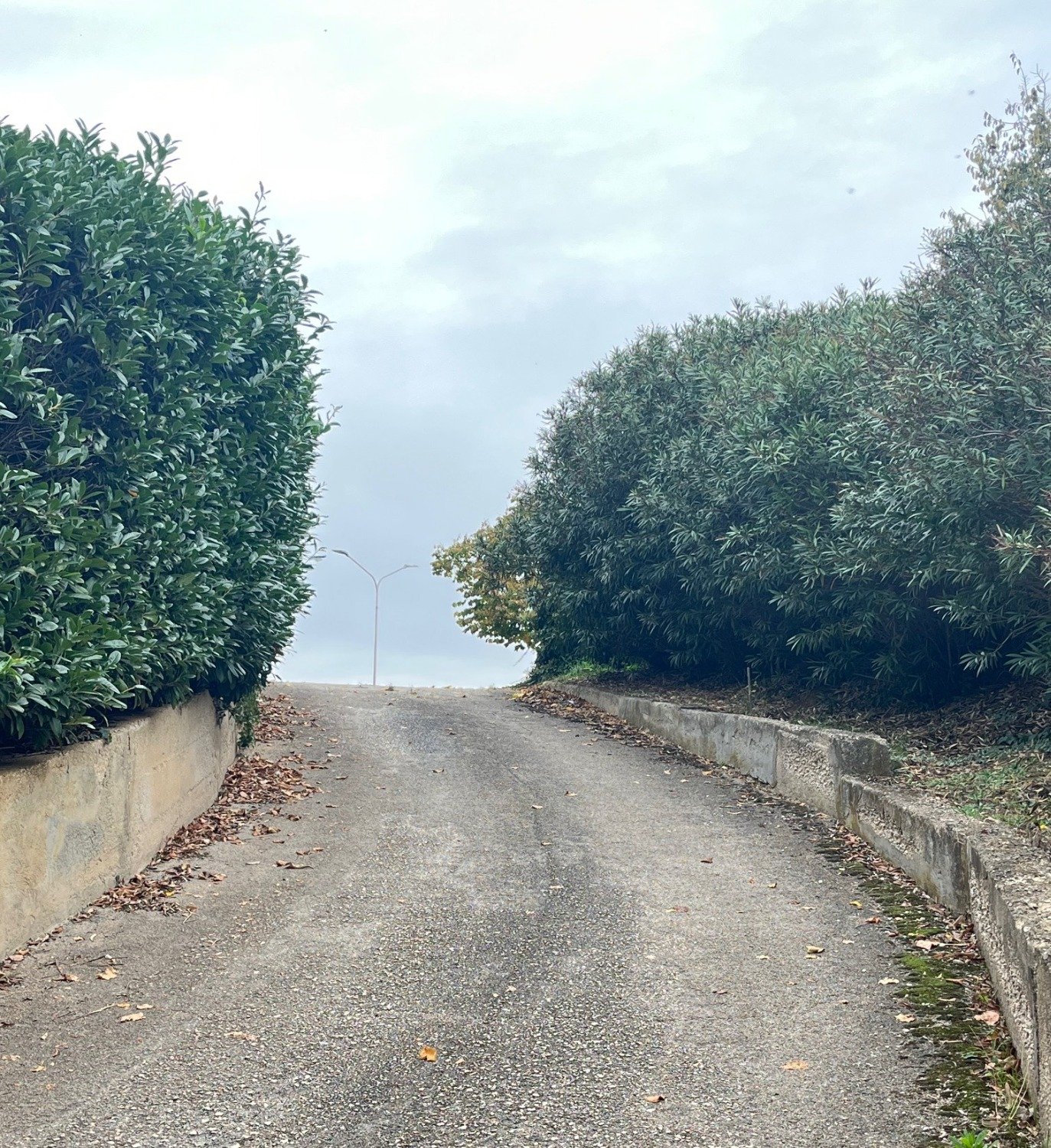 Pomezia – 1 locali � 21000 BT106