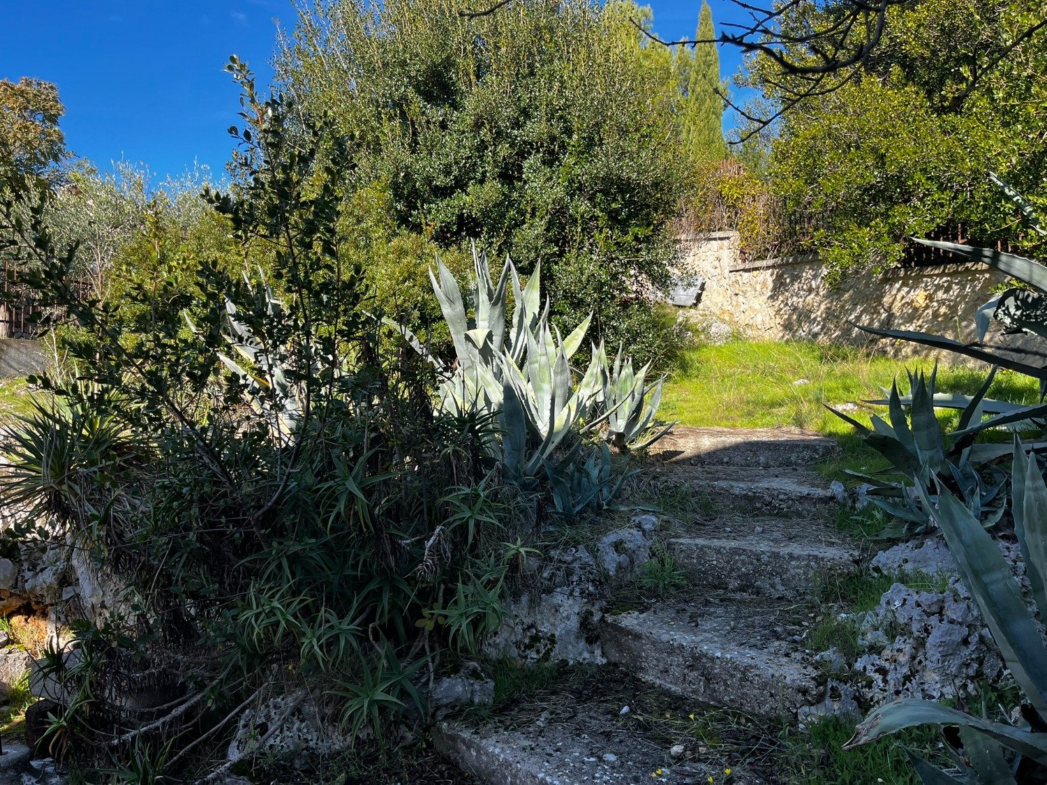 113-2731676-1 Calvi dell’Umbria – unifamiliare € 149000 T507