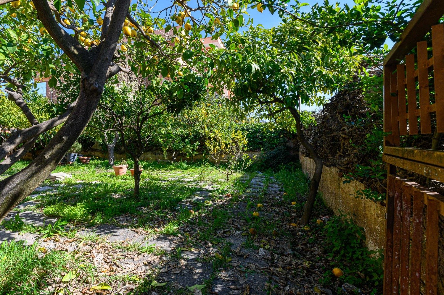 113-2809764-1 Acilia – AMPIA VILLA € 335000 T801