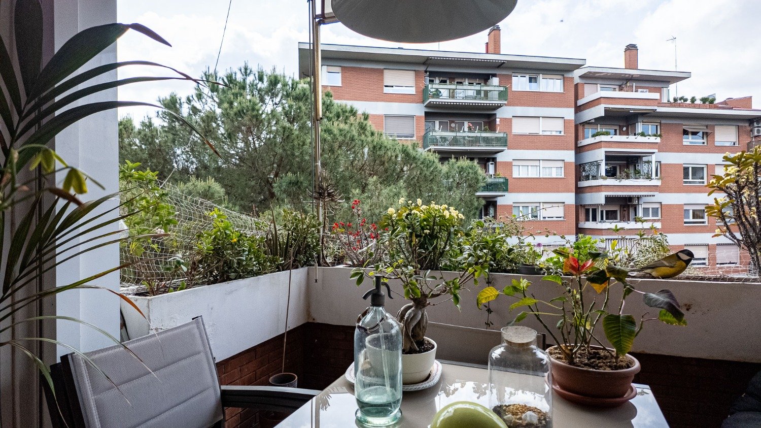 113-2888891-1 Cesare Pavese – 4 locali € 695000 T403