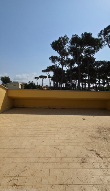Ardea – 5 locali € 119000 T508