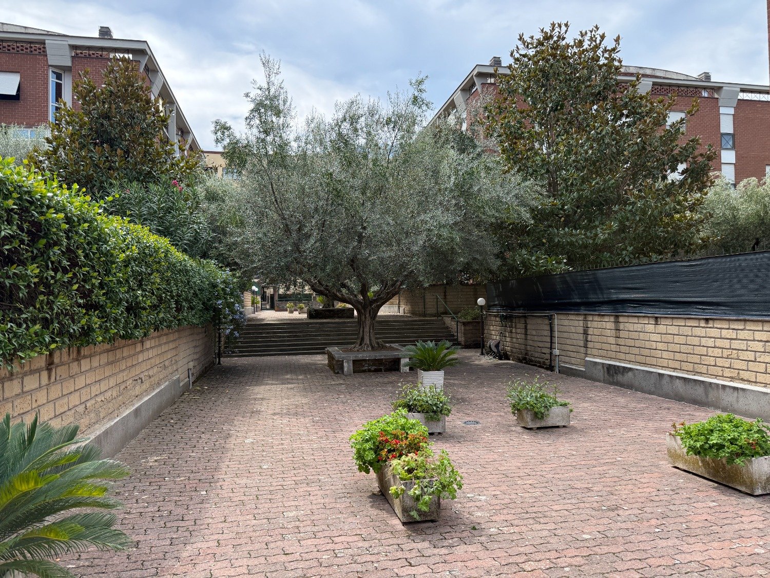 Zanetta – QUADRILOCALE con GIARDINO – € 379.000 – T408