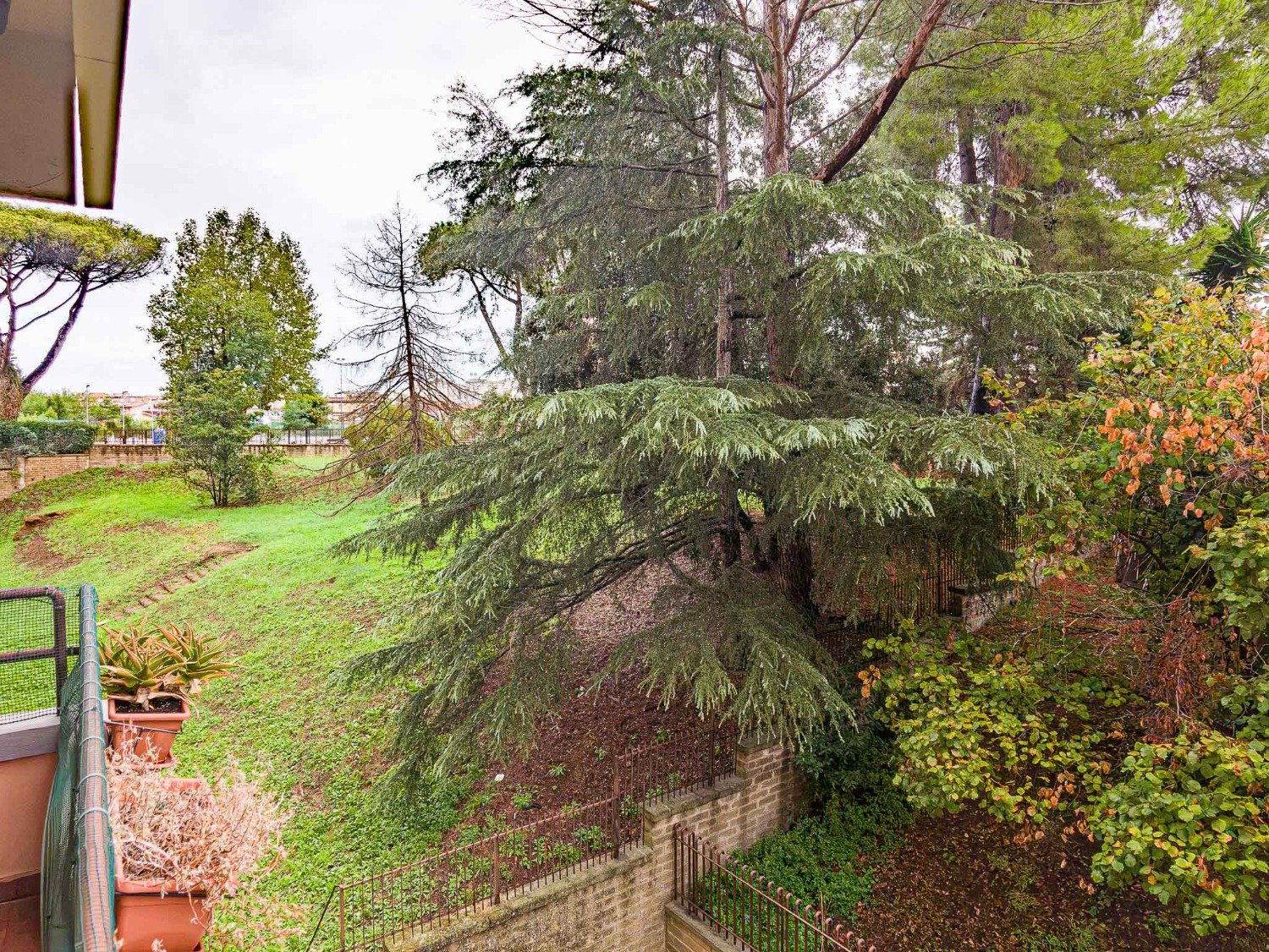 Tor De Cenci – ROTELLINI – € 249.000