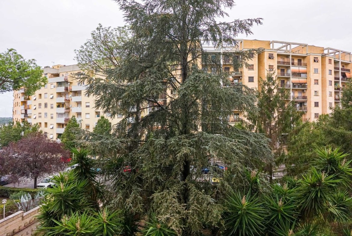 Tor De Cenci – ROTELLINI – € 249.000