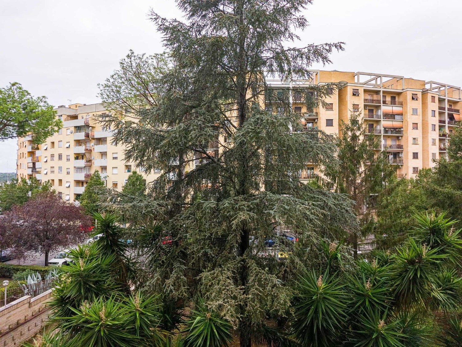 Tor De Cenci – ROTELLINI – € 249.000