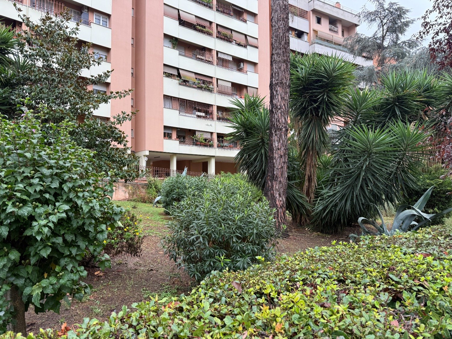 Tor De Cenci – ROTELLINI – € 249.000
