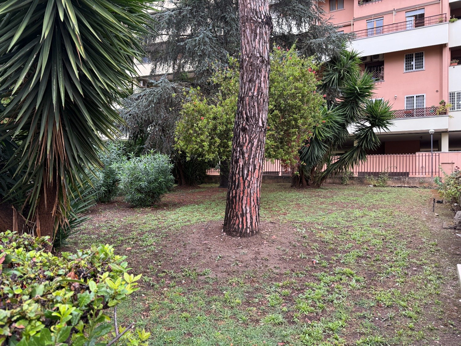 Tor De Cenci – ROTELLINI – € 249.000
